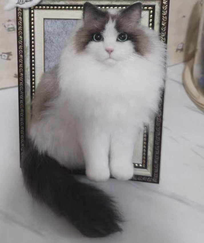 Custom Felted Pet Replicas with Frame – Personalized Memorial Keepsake