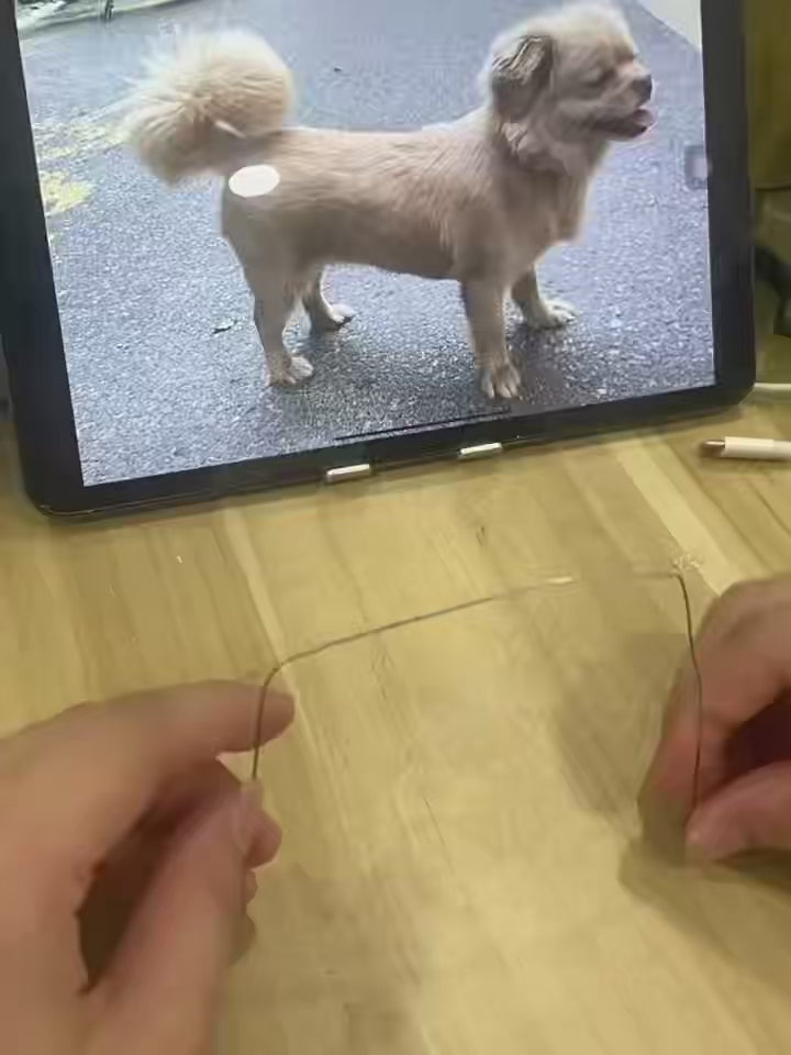 Custom Plaster Pet Figurine – Handmade Memorial Figurine