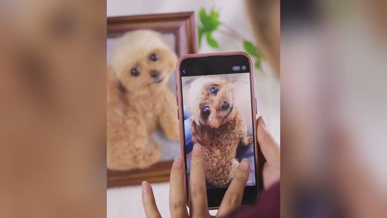 Custom Felted Pet Replicas with Frame – Personalized Memorial Keepsake